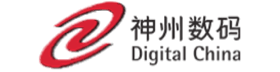 Digital China